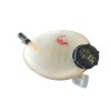 Recambio de deposito expansion para ford ka+ iii (uk, fk) 1.2 referencia OEM IAM 2066919 GN118A080A 