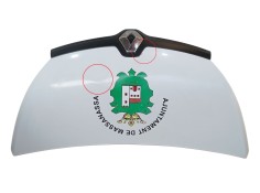 Recambio de capot para renault trafic iii furgoneta (fg_) 1.6 dci 90 (fgme) referencia OEM IAM   