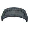 Recambio de capot delantero para peugeot 207/207+ (wa_, wc_) 1.4 referencia OEM IAM 7901N2  