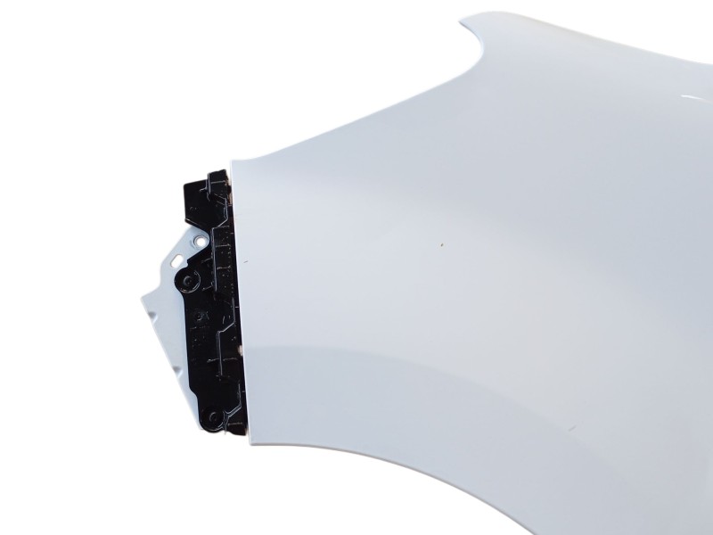 Recambio de aleta delantera izquierda para renault master iii furgoneta (fv) 2.3 dci 150 fwd (fv0f, fv03) referencia OEM IAM   