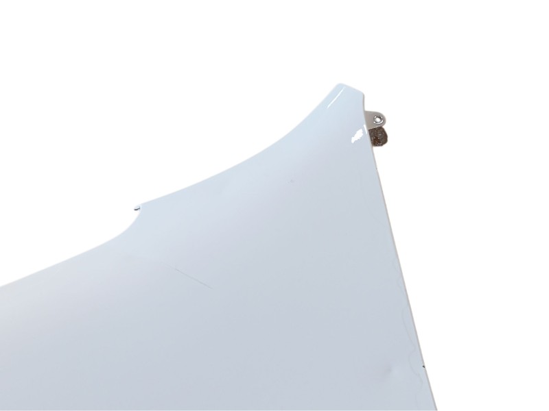 Recambio de aleta delantera izquierda para renault master iii furgoneta (fv) 2.3 dci 150 fwd (fv0f, fv03) referencia OEM IAM   