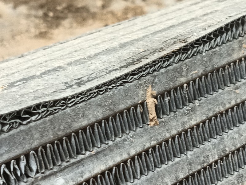 Recambio de intercooler para fiat ducato caja/chasis (250_) 150 multijet 2,3 d referencia OEM IAM   