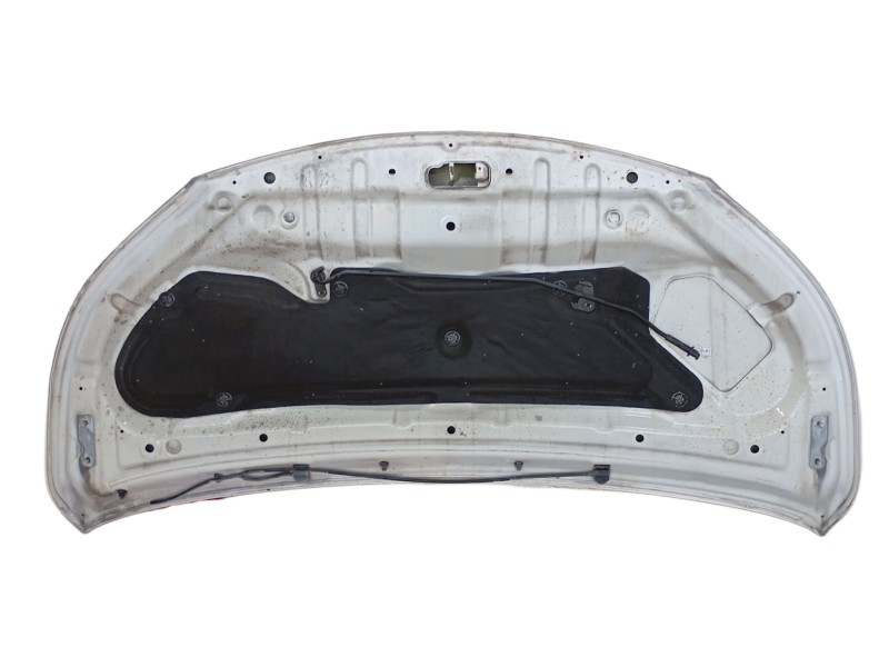 Recambio de capot para nissan nv200 furgoneta 1.5 dci 85 (m20, m20m) referencia OEM IAM   