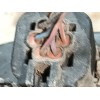Recambio de faro derecho para ford fiesta iv (ja_, jb_) 1.3 i referencia OEM IAM 1127895 0301173302 