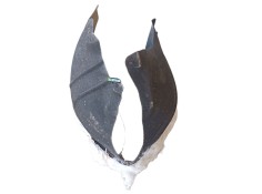 Recambio de paso de rueda trasero izquierdo para byd seal u referencia OEM IAM    2