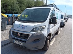 FIAT DUCATO CAJA/CHASIS (250_)