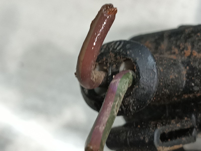 Recambio de inyector para ford c-max ii (dxa/cb7, dxa/ceu) 1.5 tdci referencia OEM IAM 1745052  