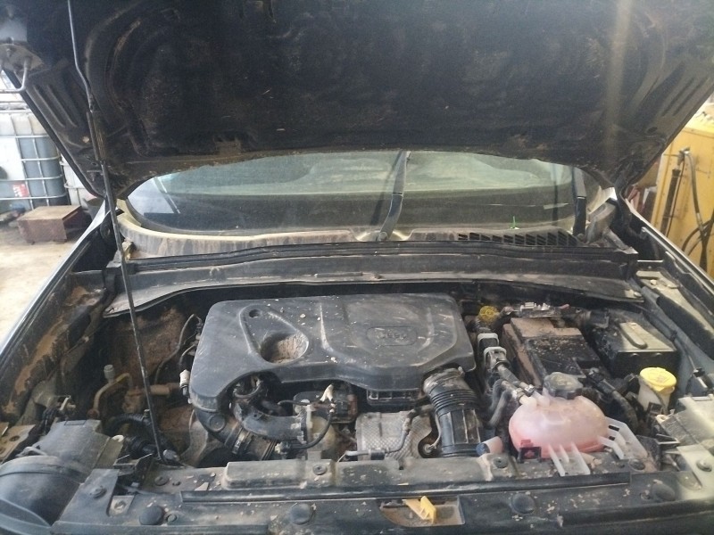 jeep renegade suv (bu, b1, bv) del año 2019