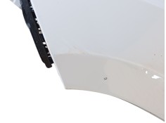 Recambio de aleta delantera izquierda para fiat ducato furgoneta (250_) 140 multijet 2,2 d referencia OEM IAM    2