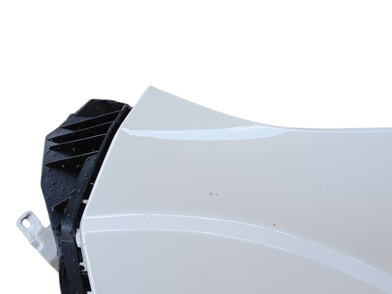 Recambio de aleta delantera izquierda para fiat ducato furgoneta (250_) 140 multijet 2,2 d referencia OEM IAM   