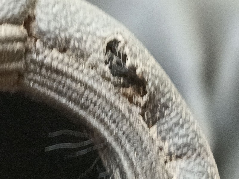 Recambio de pomo palanca cambio para fiat scudo furgoneta 2.0 multijet 145 (506) referencia OEM IAM   