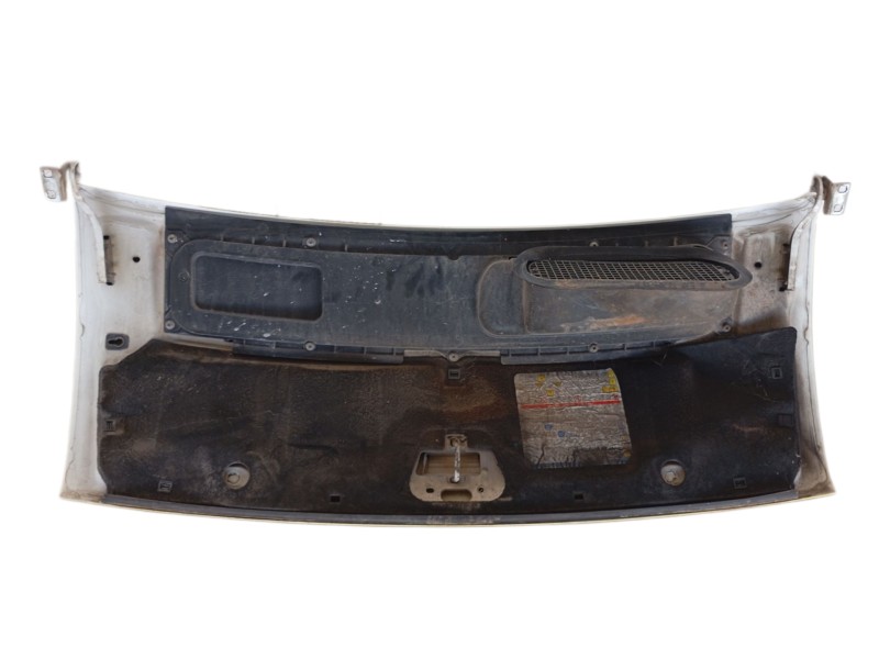 Recambio de capot para fiat ducato furgoneta (250_) 120 multijet 2,3 d referencia OEM IAM   