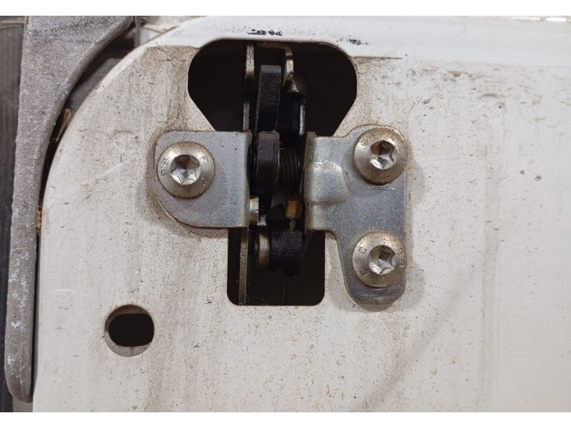 Recambio de puerta trasera izquierda para fiat ducato furgoneta (250_) 130 multijet 2,3 d referencia OEM IAM   