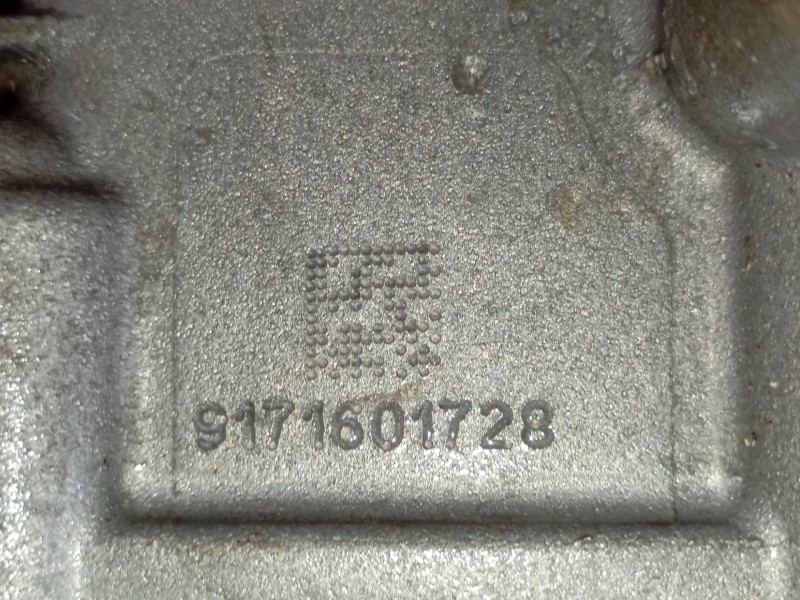 Recambio de diferencial delantero para seat alhambra (710, 711) 2.0 tdi referencia OEM IAM  0518282 