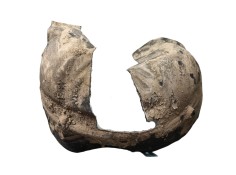 Recambio de paso de rueda delantero derecho para ford puma (j2k, cf7) 1.0 ecoboost referencia OEM IAM    2