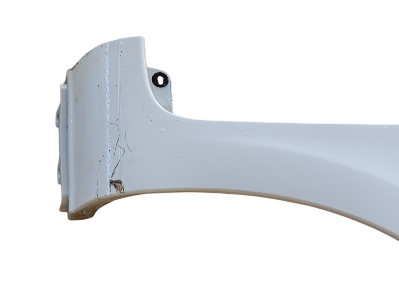 Recambio de aleta delantera derecha para renault clio iii (br0/1, cr0/1) 1.5 dci referencia OEM IAM   