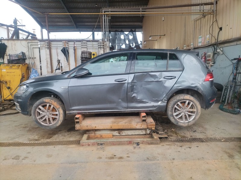 volkswagen golf vii variant (ba5, bv5) del año 2019