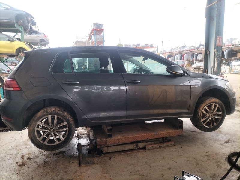 volkswagen golf vii variant (ba5, bv5) del año 2019