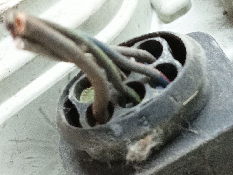 Recambio de piloto trasero derecho para audi a3 (8p1) 1.9 tdi referencia OEM IAM 8P0945096  