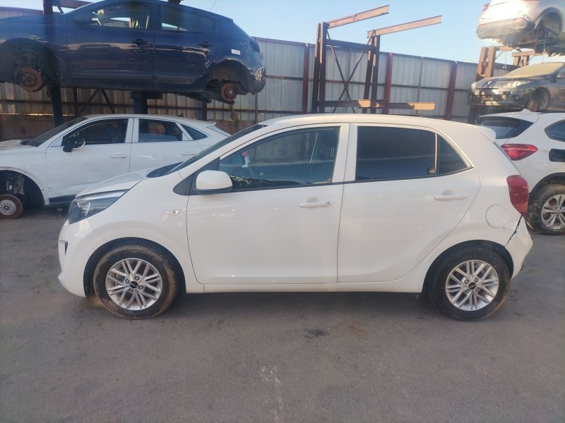 kia picanto iii (ja) del año 2023