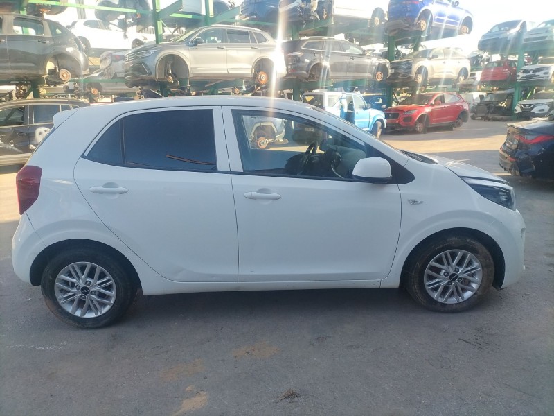 kia picanto iii (ja) del año 2023