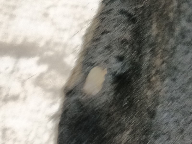 Recambio de bandeja trasera para renault kangoo (kc0/1_) 1.9 dti (kc0u) referencia OEM IAM 8200096136  