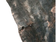 Recambio de cubrecarter para bmw x1 (f48) sdrive 18 d referencia OEM IAM    2