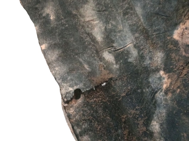 Recambio de cubrecarter para bmw x1 (f48) sdrive 18 d referencia OEM IAM   