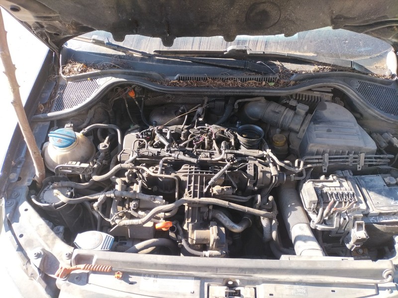 Recambio de despiece motor para volkswagen polo v (6r1, 6c1) 1.6 tdi referencia OEM IAM   