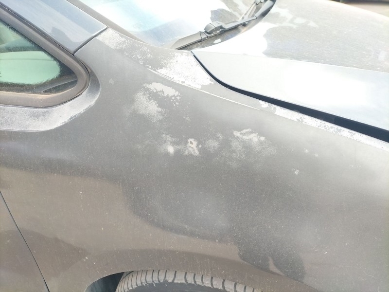 Recambio de aleta delantera derecha para seat alhambra (710, 711) 2.0 tdi referencia OEM IAM   