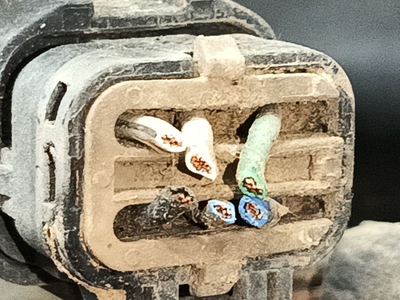 Recambio de piloto trasero derecho para hyundai terracan (hp) 2.9 crdi 4wd referencia OEM IAM   