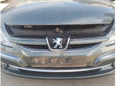 Recambio de rejilla delantera para peugeot 607 (9d, 9u) 2.7 hdi 24v referencia OEM IAM   