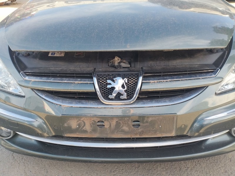 Recambio de rejilla delantera para peugeot 607 (9d, 9u) 2.7 hdi 24v referencia OEM IAM   