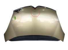Recambio de capot para citroën c4 grand picasso i (ua_) 1.6 hdi referencia OEM IAM   