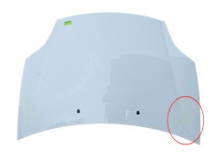 Recambio de capot para fiat bravo ii (198_) 1.6 d multijet (198axh1b) referencia OEM IAM   