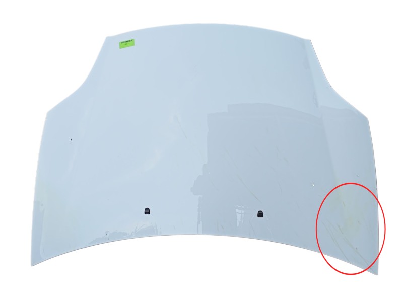 Recambio de capot para fiat bravo ii (198_) 1.6 d multijet (198axh1b) referencia OEM IAM   