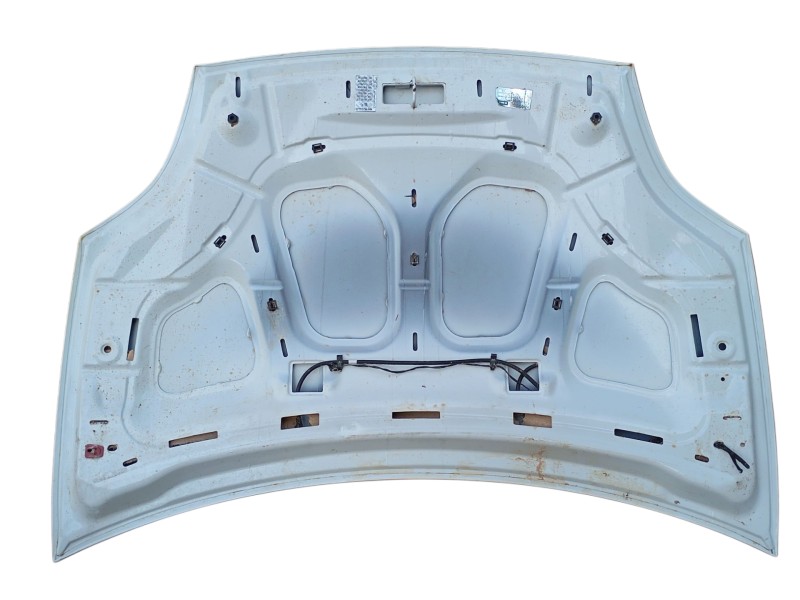 Recambio de capot para fiat bravo ii (198_) 1.6 d multijet (198axh1b) referencia OEM IAM   