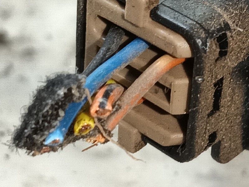 Recambio de cerradura puerta trasera derecha para hyundai terracan (hp) 2.9 crdi 4wd referencia OEM IAM   