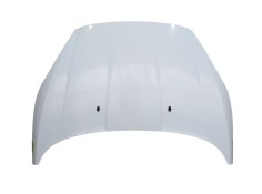 Recambio de capot para ford fiesta vi (cb1, ccn) 1.0 ecoboost referencia OEM IAM 2002312  
