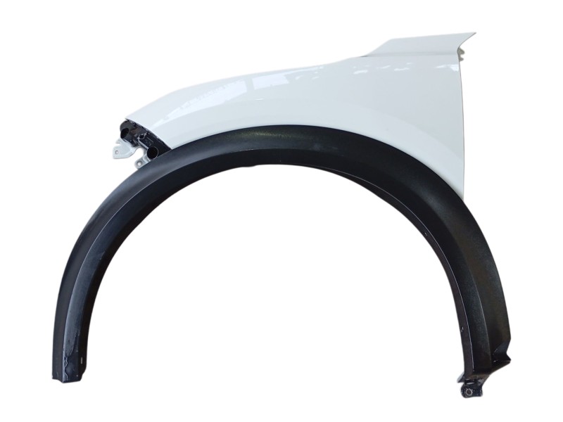 Recambio de aleta delantera izquierda para nissan juke (f16_) 1.0 referencia OEM IAM F31016PAMB  