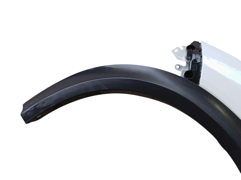 Recambio de aleta delantera izquierda para nissan juke (f16_) 1.0 referencia OEM IAM F31016PAMB  