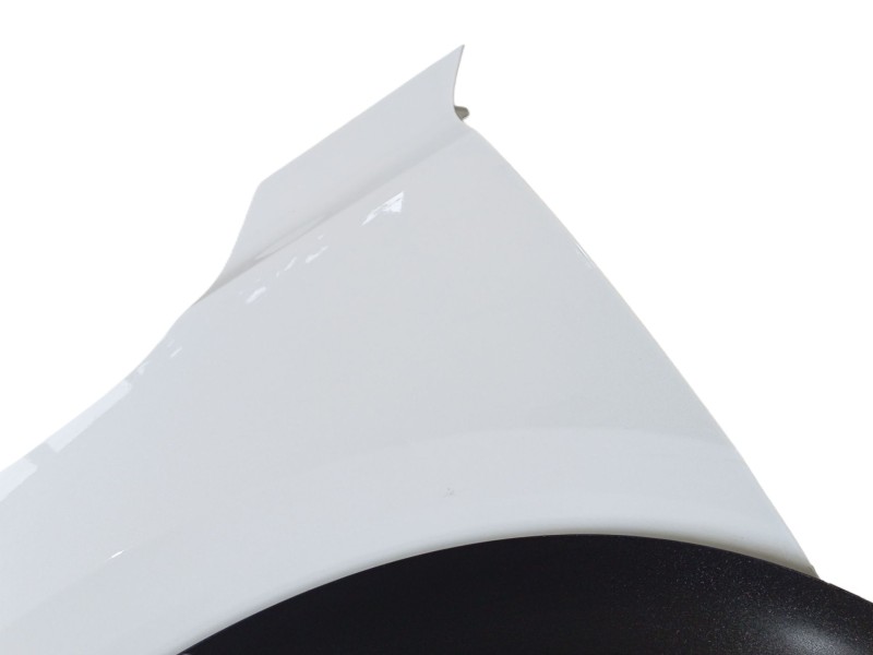 Recambio de aleta delantera izquierda para nissan juke (f16_) 1.0 referencia OEM IAM F31016PAMB  