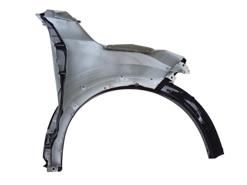 Recambio de aleta delantera izquierda para nissan juke (f16_) 1.0 referencia OEM IAM F31016PAMB  