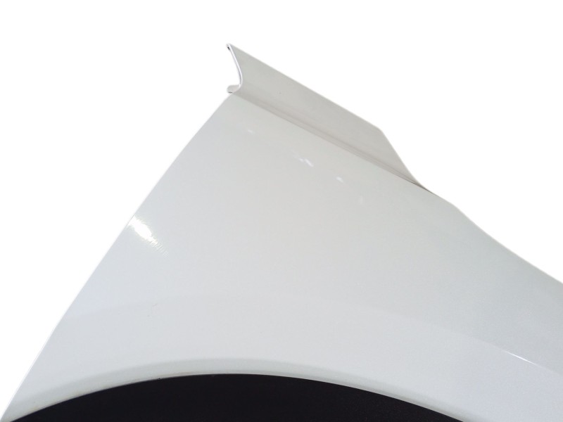 Recambio de aleta delantera derecha para nissan juke (f16_) 1.0 referencia OEM IAM F31006PAMB  