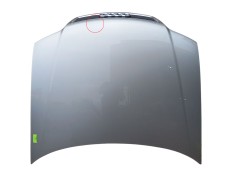 Recambio de capot delantero para audi allroad c5 (4bh) 2.5 tdi quattro referencia OEM IAM 4B1823029B  