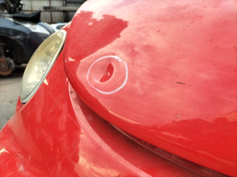 Recambio de capot delantero para volkswagen new beetle (9c1, 1c1) 2.0 referencia OEM IAM 1C0823031L  