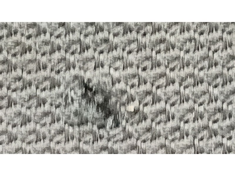 Recambio de bandeja trasera para audi q3 (8ub, 8ug) 2.0 tdi quattro referencia OEM IAM 8U0867769CSN7 8U0867771SN7 