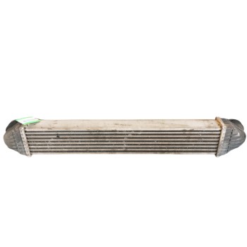 INTERCOOLER A1695000000 Q04G0976
