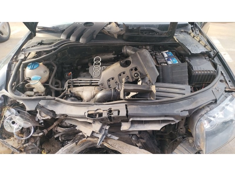 Recambio de despiece motor para audi a3 (8p1) 2.0 tdi 16v referencia OEM IAM   