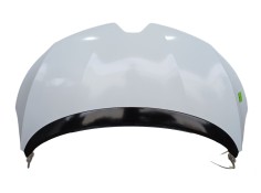 Recambio de capot para renault scénic iv (j9_) 1.3 tce 140 referencia OEM IAM 651004703R  